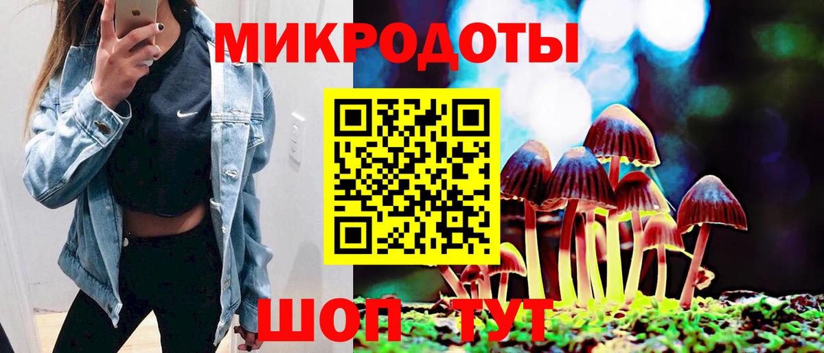 Галлюциногенные грибы Psilocybine cubensis Реж