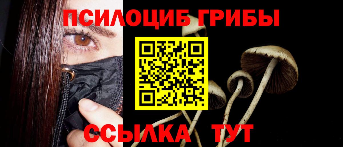 Реж  Галлюциногенные грибы MAGIC MUSHROOMS  Вход с VPN 